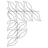 sunflower leaf brd crn 001